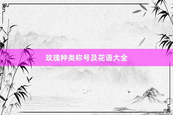 玫瑰种类称号及花语大全