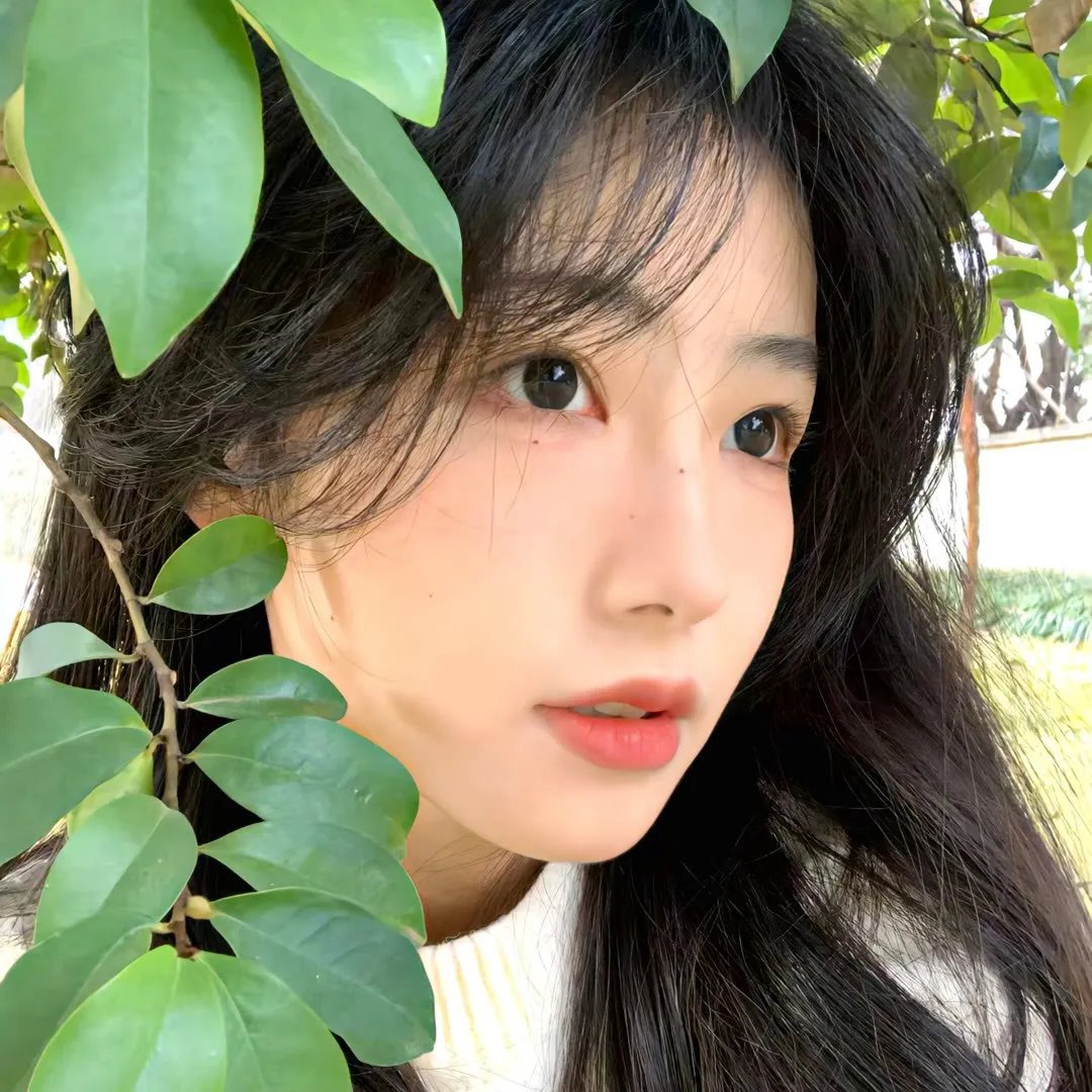 珍妮热线